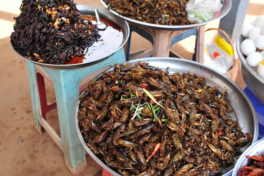 10-Fried Insects