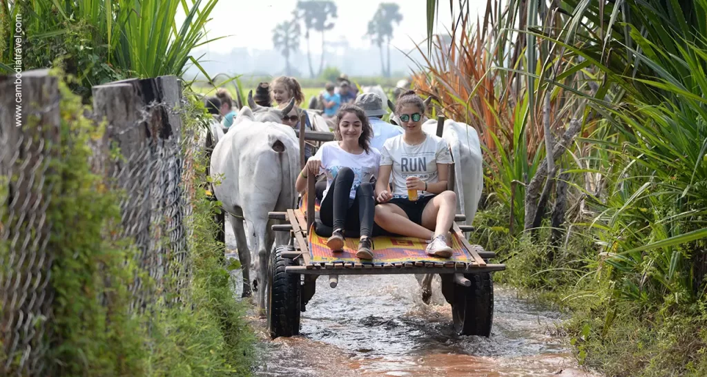 Bong Thom Eco Tour & Homestay